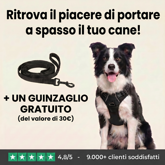 Pettorina anti-trazione Ruffy